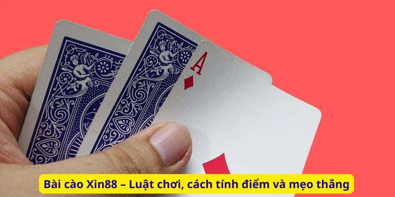 Bài cào Xin88 – Luật chơi, cách tính điểm và mẹo thắng